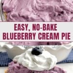 side view of a piece of blueberry cream pie on a white plate topped with whipped cream and a blueberry.