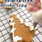 hand piping icing onto a gingerbread cookie.
